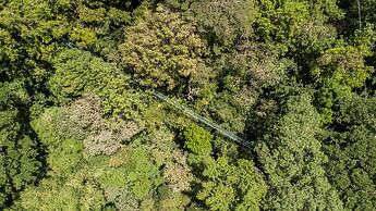 Buena Vista del Rincon Eco Adventure Park, Hotel & Spa