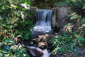 Buena Vista del Rincon Eco Adventure Park, Hotel & Spa