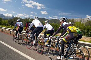 Palm Garden Apartments