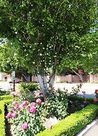 Laguna Hills Lodge