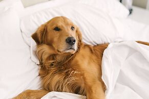 The Westin Riverfront Resort & Spa, Avon, Vail Valley