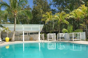 Tropical Attitude - Adults only