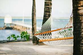 Tropical Attitude - Adults only