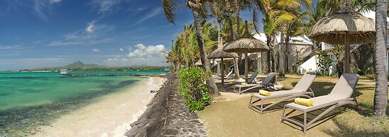 Tropical Attitude - Adults only