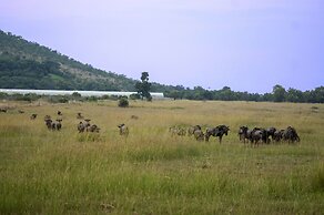 Kedar Heritage Lodge, Conference Centre & Spa