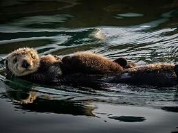 InterContinental the Clement Monterey by IHG