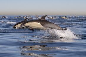 InterContinental the Clement Monterey by IHG