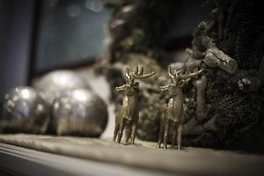 Boutique Hotel Am Park