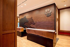 Great Wolf Lodge Illinois