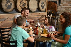 Great Wolf Lodge Illinois