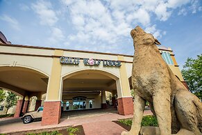 Great Wolf Lodge Illinois