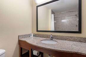 Comfort Inn & Suites Northeast - Gateway