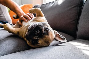 Staybridge Suites Austin Airport by IHG