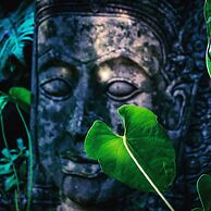 At the Crater's Edge – Adults Only