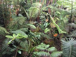 At the Crater's Edge – Adults Only