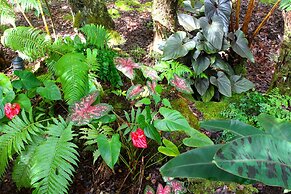 At the Crater's Edge – Adults Only