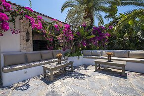 Flamingo Hotel & Spa - Pet Friendly