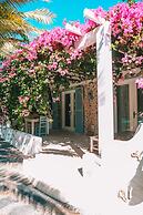 Flamingo Hotel & Spa - Pet Friendly