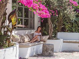 Flamingo Hotel & Spa - Pet Friendly