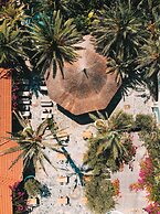 Flamingo Hotel & Spa - Pet Friendly