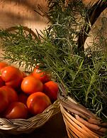 Katalagari Country Suites