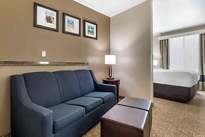 Comfort Suites Plano - Dallas North