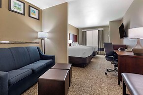 Comfort Suites Plano - Dallas North