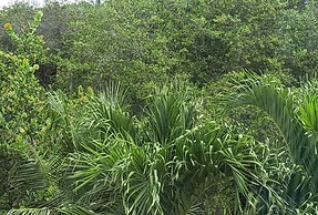 Artisan Family Hotels And Resorts Playa Esmeralda