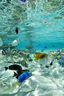 InterContinental Bora Bora Le Moana Resort