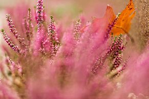 Amber Boutique Hotels - Hotel Amber