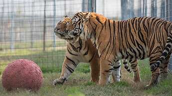 Candlewood Suites Fayetteville – University of Arkansas by IHG