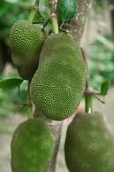 The Ritz-Carlton Sanya, Yalong Bay