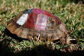 Hotel Dar Zitoune Taroudant