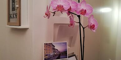 La Residenza Il Maggio B&B