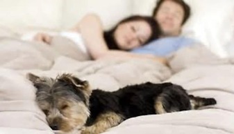 St Isidro Suites Corporate Housing SPA & Wellness Center