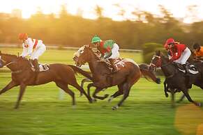 Holiday Inn Express Hamilton by IHG