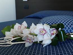 Hotel Draconerium