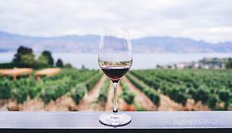 The Cliff Beach & SPA Hotel