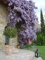 Can Serola