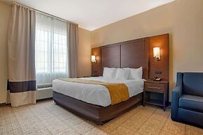 Comfort Suites Alexandria