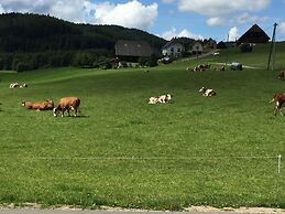 B+B Hotel Sonnenmatte Near Badeparadies