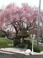 Cheshire Welcome Inn