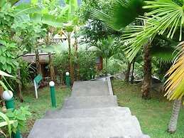 Le Jardin Des Palmes