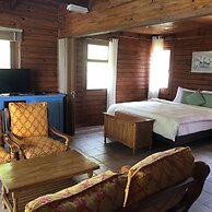 Le Jardin Des Palmes