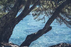 Iberostar Waves Pinos Park