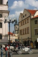 Hotel & Residence U Tri Bubnu