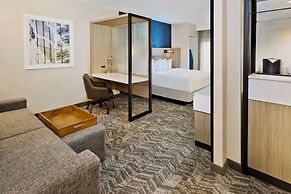 SpringHill Suites by Marriott Birmingham Colonnade