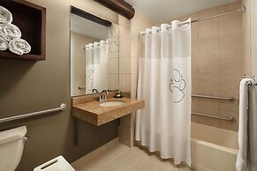 Great Wolf Lodge Grapevine