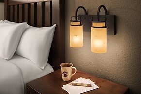 Great Wolf Lodge Grapevine