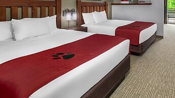 Great Wolf Lodge Grapevine